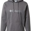 Columbia CSC Basic Logo II Hoodiecity grey heather/columbia grey Jerséis hombre